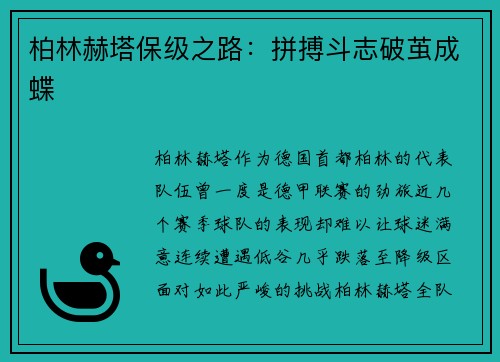 柏林赫塔保级之路：拼搏斗志破茧成蝶