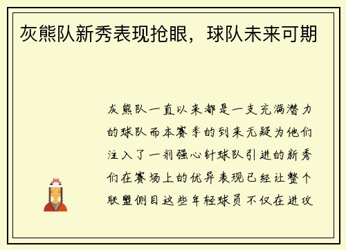 灰熊队新秀表现抢眼，球队未来可期