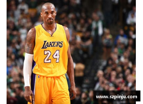 z6尊龙凯时官方网站NBA球员威廉姆斯：风云人生与不平凡的篮球旅程 - 副本