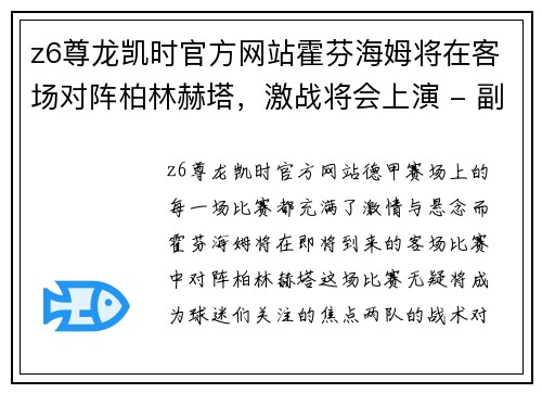 z6尊龙凯时官方网站霍芬海姆将在客场对阵柏林赫塔，激战将会上演 - 副本
