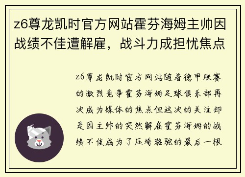 z6尊龙凯时官方网站霍芬海姆主帅因战绩不佳遭解雇，战斗力成担忧焦点