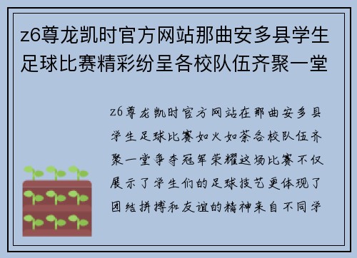 z6尊龙凯时官方网站那曲安多县学生足球比赛精彩纷呈各校队伍齐聚一堂争夺冠军荣耀