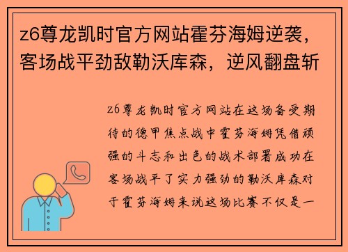 z6尊龙凯时官方网站霍芬海姆逆袭，客场战平劲敌勒沃库森，逆风翻盘斩获关键一分